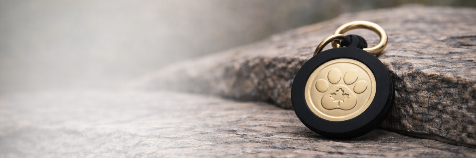 Lumzi tag background